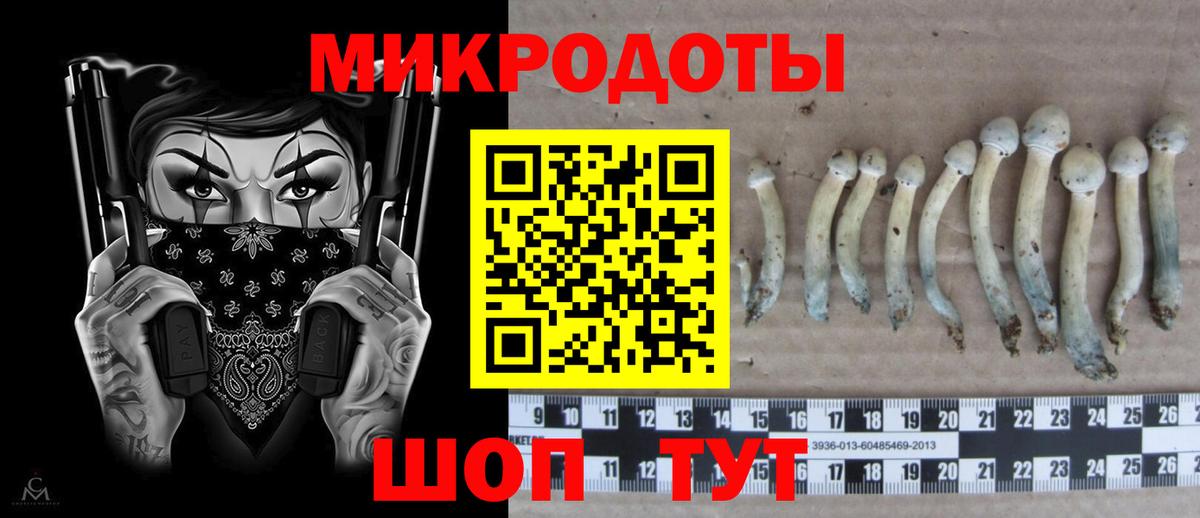 Псилоцибиновые грибы Psilocybine cubensis  Галлюциногенные грибы GOLDEN TEACHER  Краснокамск  Вход с VPN 